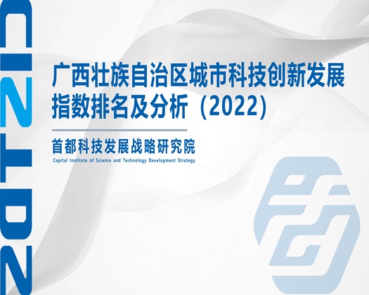 大鸡巴日大逼大逼日大鸡吧日逼电影【成果发布】广西壮族自治区城市科技创新发展指数排名及分析（2022）